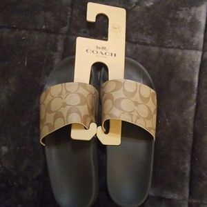 Coach slides